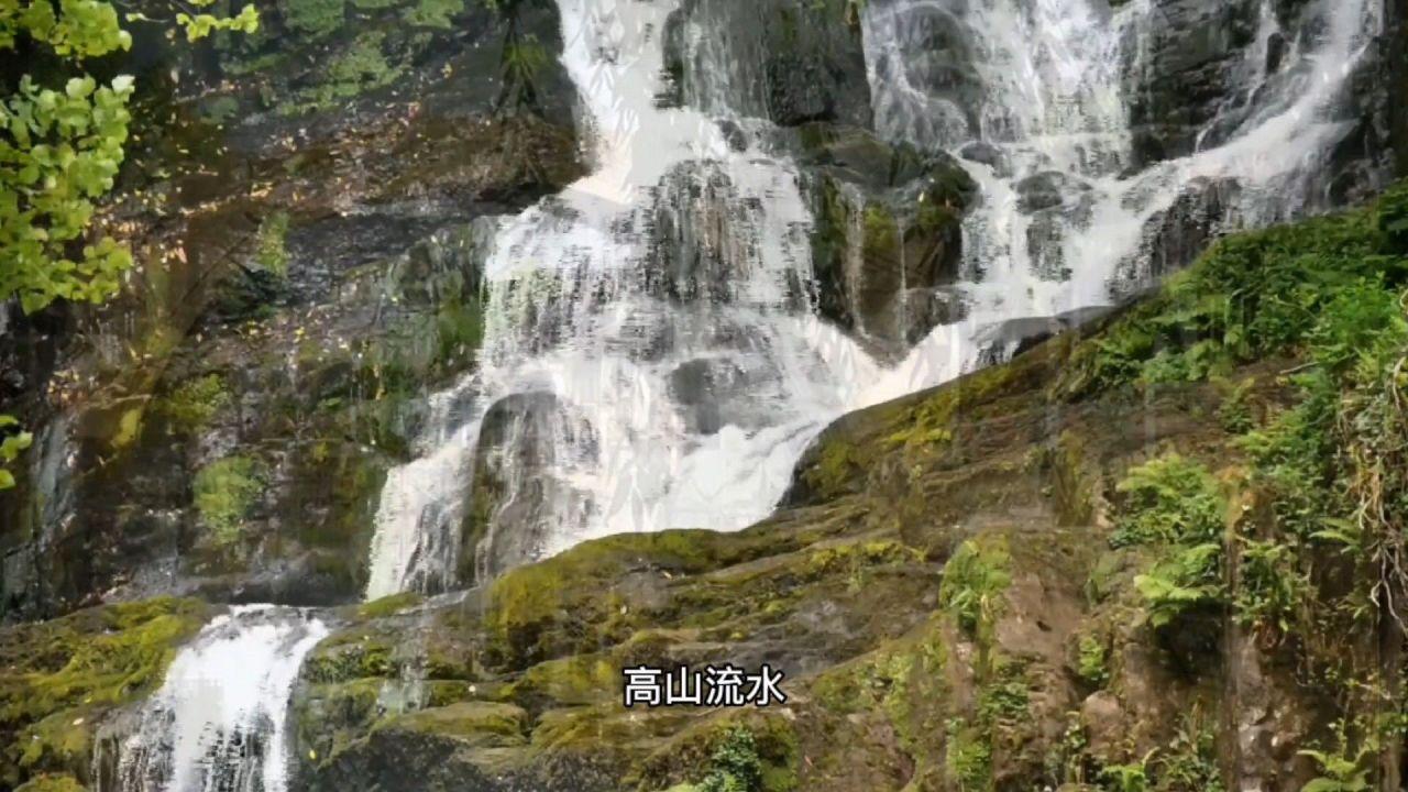 夜读｜烦恼的解药，在于“自渡”